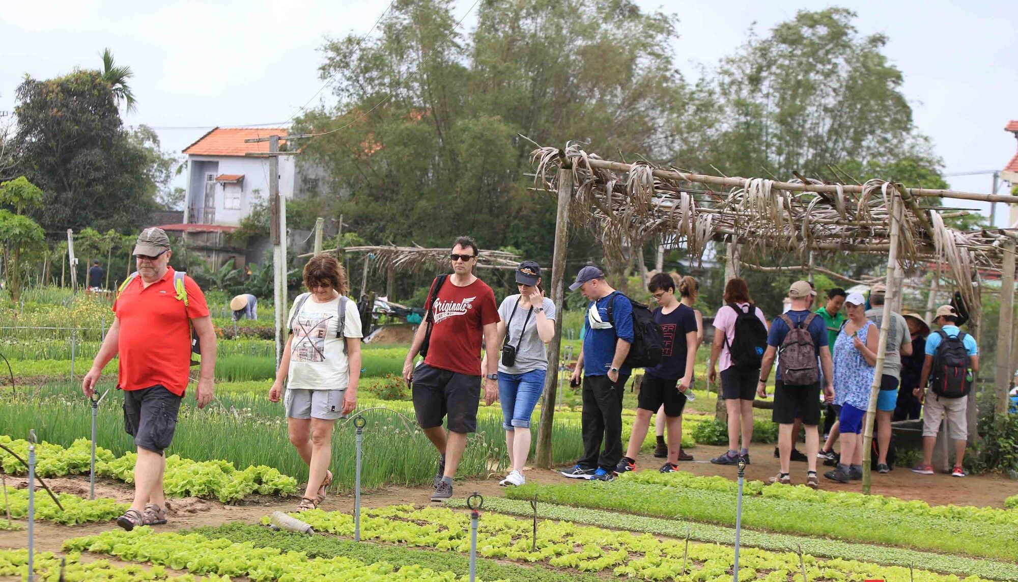 Explore Tra Que’s safe cultural landscapes with confidence